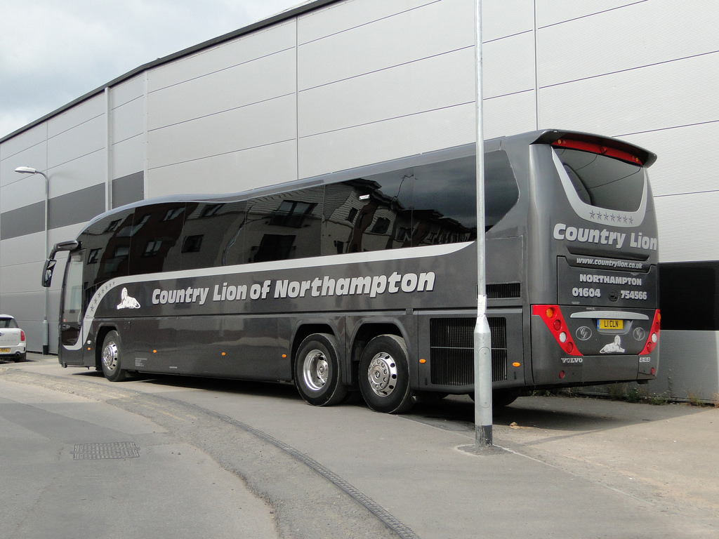 country lion (1).jpg