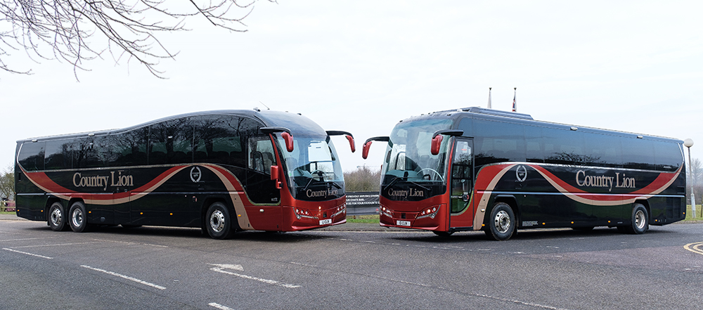 country lion (2).jpg