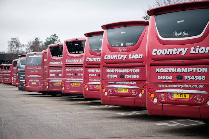 country lion (4).jpg