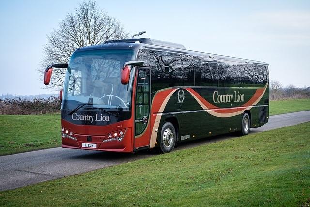 country lion (5).jpg