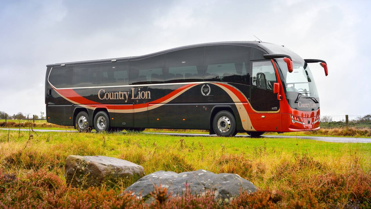 country lion (7).jpg