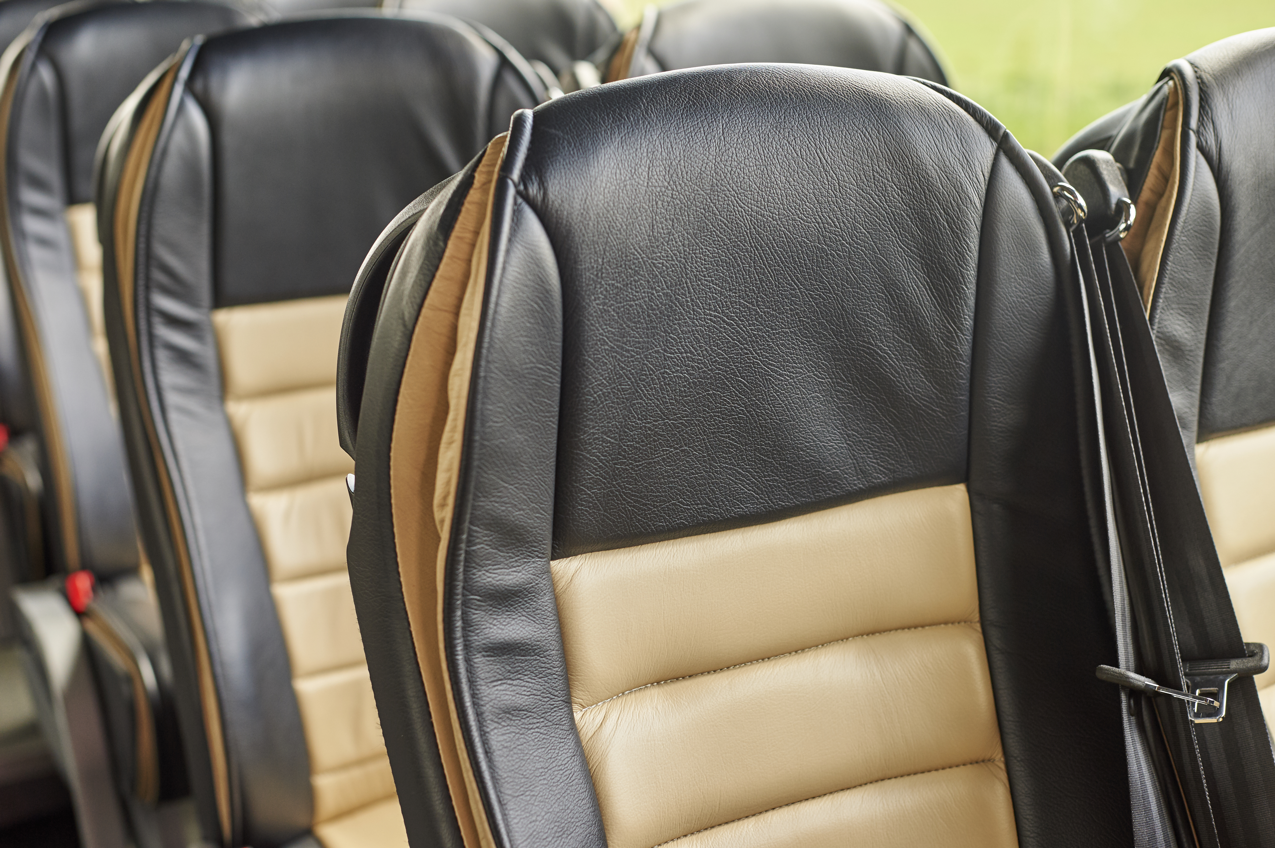 Galloway 4.1611915 2.jpg